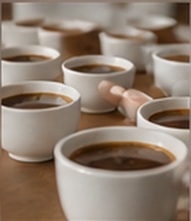 Coffee cupping session